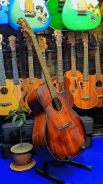 Kaysen C17 Premium Solid Top Acoustic Guitar – Professional Series - Image 6