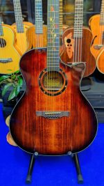 Kaysen C17 Premium Solid Top Acoustic Guitar – Professional Series - Image 7