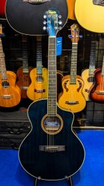 Tayste TS430 Acoustic Guitar - Image 5