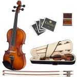 Cecilio 4/4 CVN-300 Ebony Fitted Solid Wood Violin