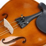 Deviser V-20 MB 4/4 Solid Spruce Top Violin - Image 3