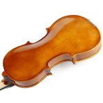 Deviser V-20 MB 4/4 Solid Spruce Top Violin - Image 4