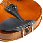 Deviser V-20 MB 4/4 Solid Spruce Top Violin - Image 6