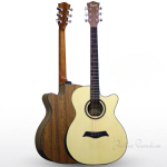 Tayste LS-570 Acoustic Guitar