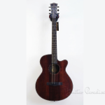 Sqoe SQ-G-FGS Premium Acoustic guitar