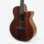 Why Choose the Sqoe SQ-G-FGS Premium Acoustic Guitar?