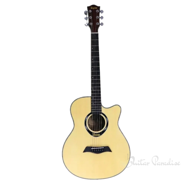 Tayste L-720A Acoustic Guitar