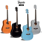 Tayste T-406 Acoustic Guitar