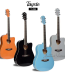 Tayste T-406 Acoustic Guitar