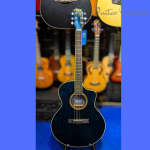 Tayste TS430 Acoustic Guitar – Professional Series