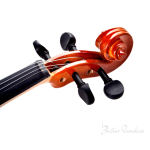 Tayste R-20 Hardwood Violin – Maple High Gloss Spruce (4/4) - Image 7