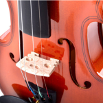 Tayste R-20 Hardwood Violin – Maple High Gloss Spruce (4/4) - Image 6