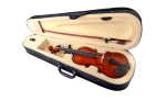 Tayste Professional Violin V-20