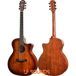 Tayste Premium TS-62 GA/N Solid Spruce Pure Acoustic Guitar