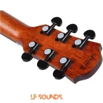 Tayste Premium TS-62 GA/N Solid Spruce Pure Acoustic Guitar - Image 5