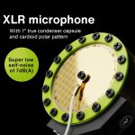 Lewitt LCT 440 PURE Large-Diaphragm Condenser Microphone - Image 9