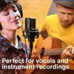 Lewitt LCT 440 PURE Large-Diaphragm Condenser Microphone - Image 10