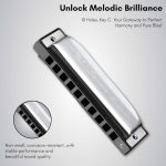 Swan Diatonic Blues Harmonica 10-Hole Standard Series (Model: SW1020) - Image 3