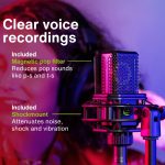Lewitt LCT 441 FLEX Multi-Pattern Condenser Microphone - Image 10