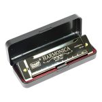 Dream Maker Professional Diatonic Harmonica (Model: DM-10B)