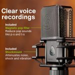 Lewitt LCT 440 PURE Large-Diaphragm Condenser Microphone - Image 11