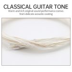 Moge Classical Guitar Strings (Model: MC43) - Image 7