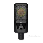 Lewitt RAY Large-Diaphragm Condenser Microphone