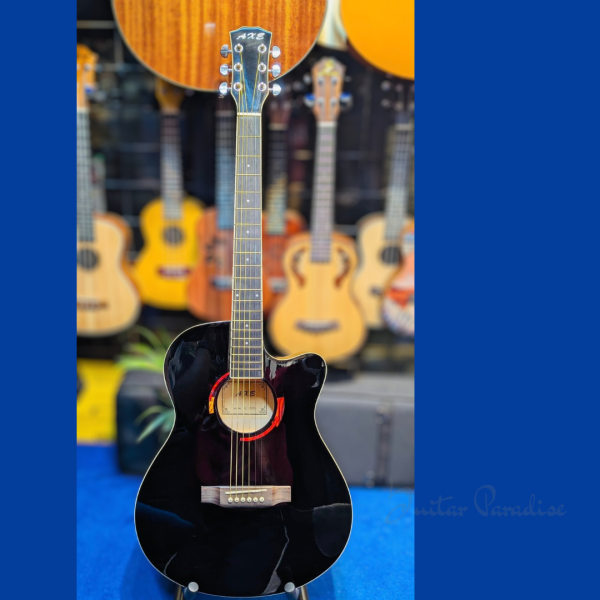 Axe Premier Series / AG-48C Pure Acoustic Guitar (New Edition)