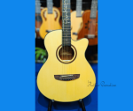 Parker L-720 A Cutaway Acoustic Guitar – Natural Gloss Spruce Top with Custom Fretboard Inlay - Image 2