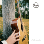 Trumon 280TF Premium Acoustic-Electric Guitar – Solid Sitka Spruce Top / Rosewood with Cat Paw M1G Pickup - Image 5