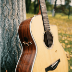 Trumon 280TF Premium Acoustic-Electric Guitar – Solid Sitka Spruce Top / Rosewood with Cat Paw M1G Pickup - Image 7
